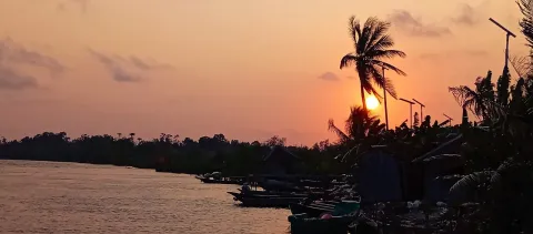 A sunset over a river with palm trees in silhouette on the bank and small boats moored along the water
