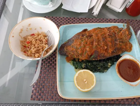 A grilled fish in red pepper sauce on a plate with greens, a lemon slice and a small dish of sauce, beside a bowl of rice